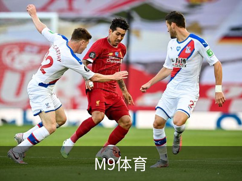 M9体育概况